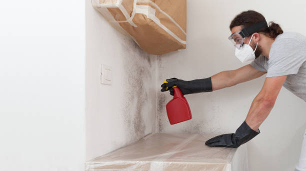 Professional Attic Mold Remediation technician working in Norwood, PA